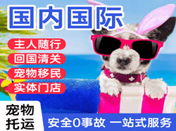 扎兰屯成吉思汗航空邮寄国际宠物托运 【国
